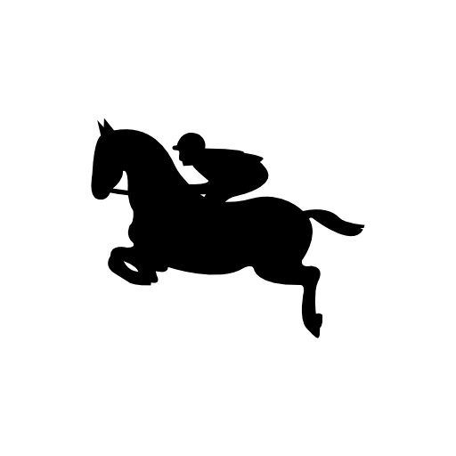 Jumping horse with jockey