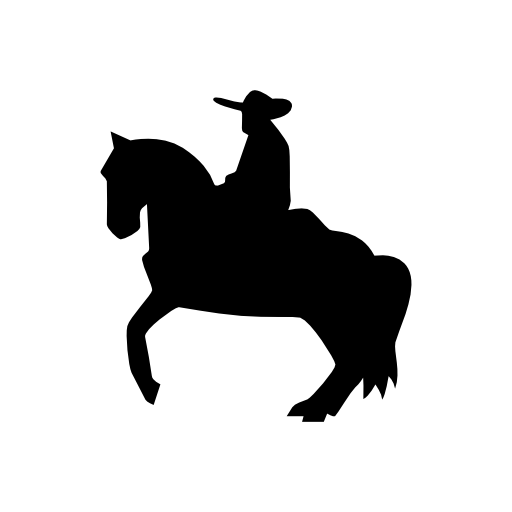 Man riding on a horse silhouette of flamenco