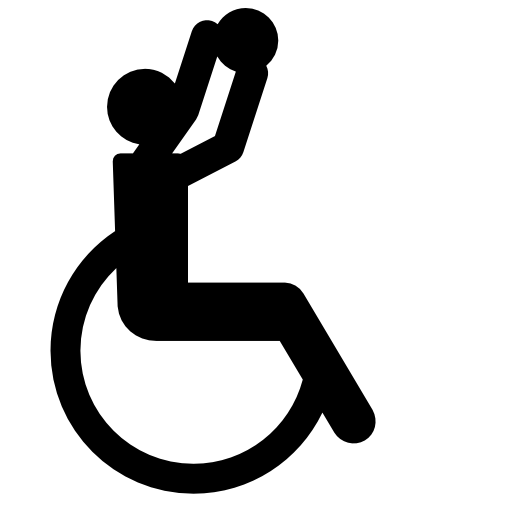 Paralympic basketball silhouette