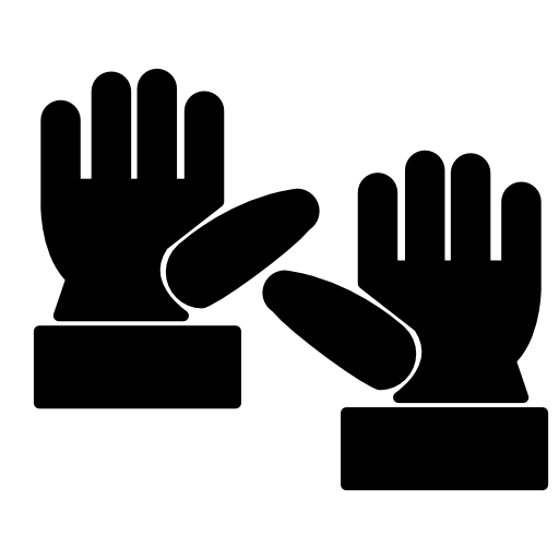 Gloves pair