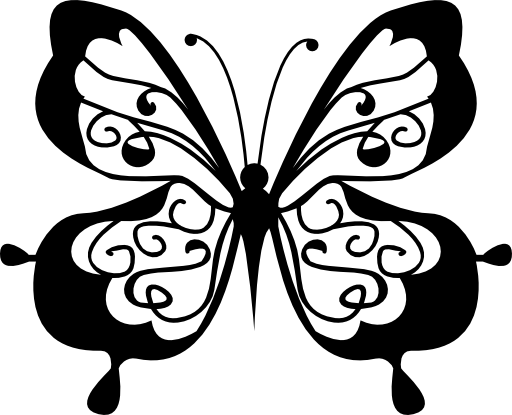 Cute butterfly top view
