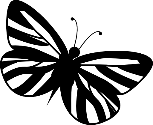 Striped wings butterfly