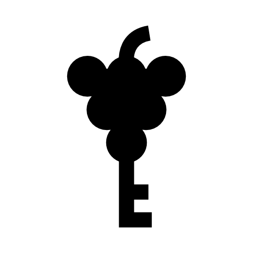 Key with grapes shape