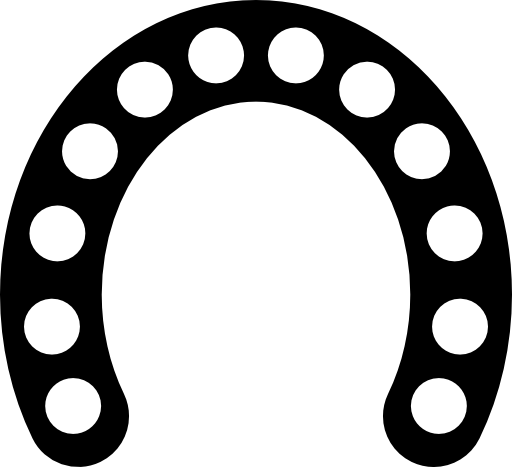 Horseshoe curve with circular holes along all its extension