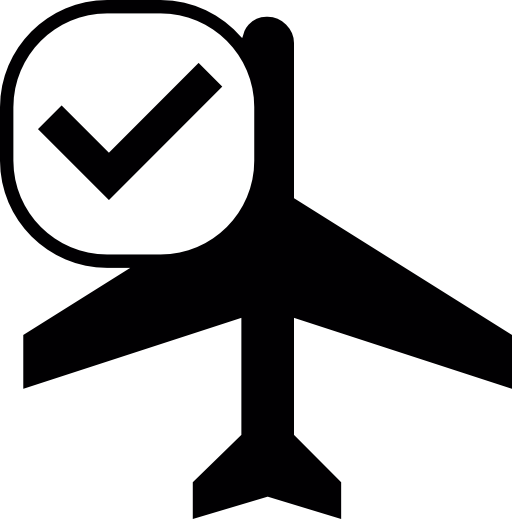 Airplane with check mark