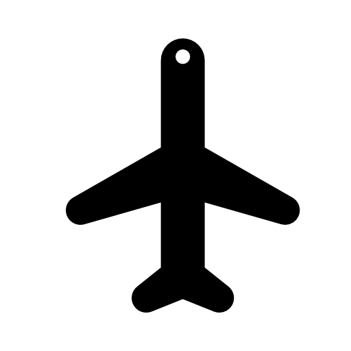 The passenger plane