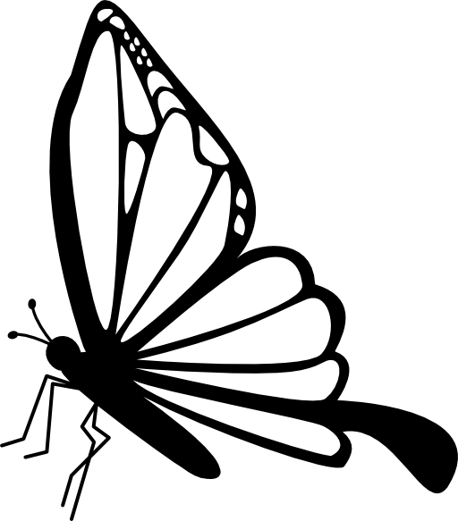 Butterfly side view