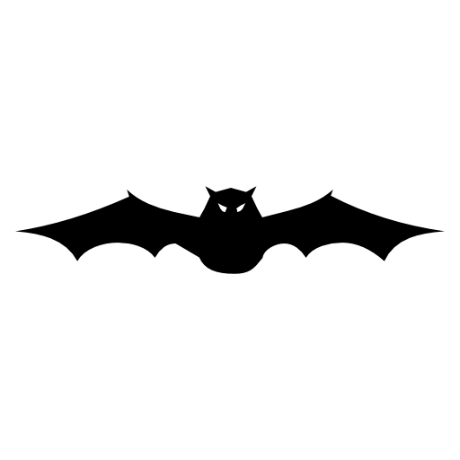 Bat with extended wings in frontal view