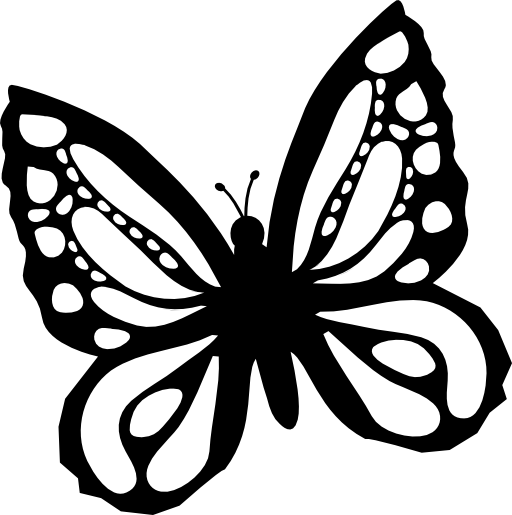 Butterfly of beautiful design from top view slightly rotated to left