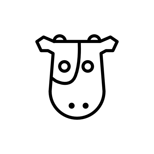 Cow frontal head
