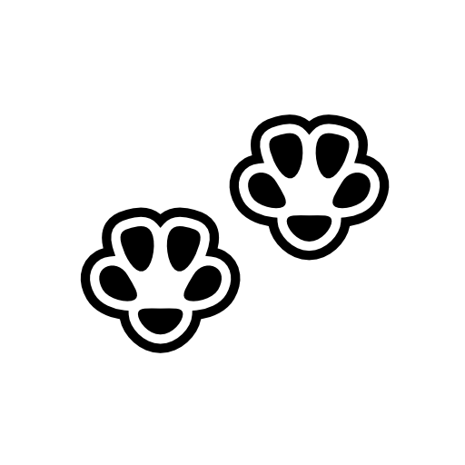 Footprints of a small cat