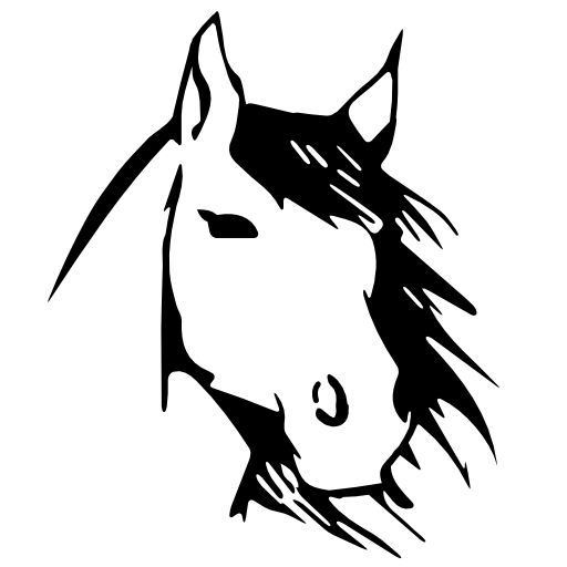 Horse face front view sketch