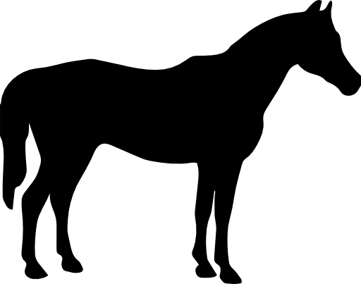 Horse black silhouette facing to right