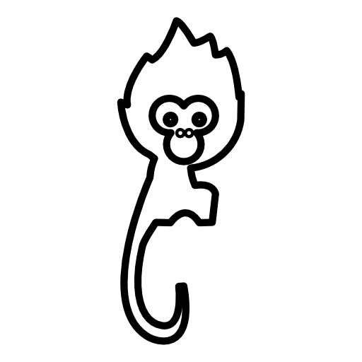 Small monkey with long tail