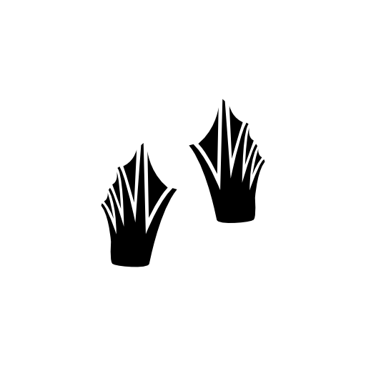 Reptile feet silhouette
