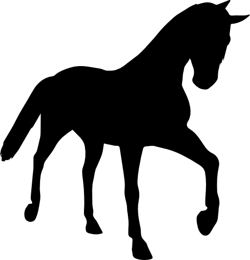 Horse young black silhouette in perspective