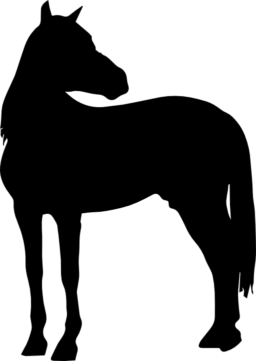 Horse standing black silhouette with head turned looking to right side