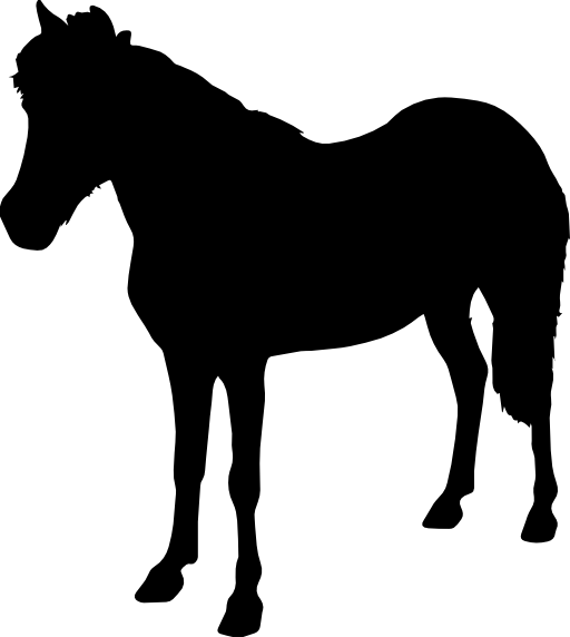 Horse standing animal black shape facing left