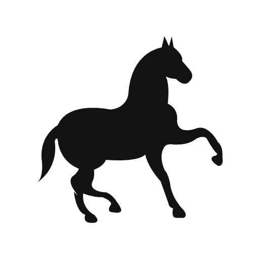 Dancing black horse with one lift foot