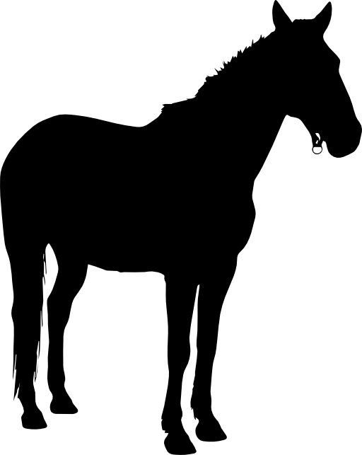 Horse standing black silhouette facing right
