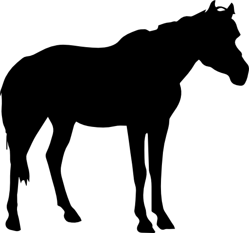 Horse black shape from side view