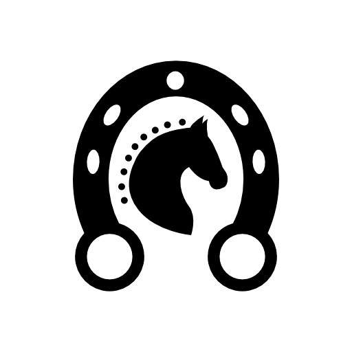 Black head horse in a horseshoe