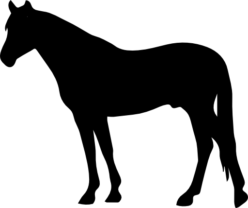 Horse black silhouette facing to left