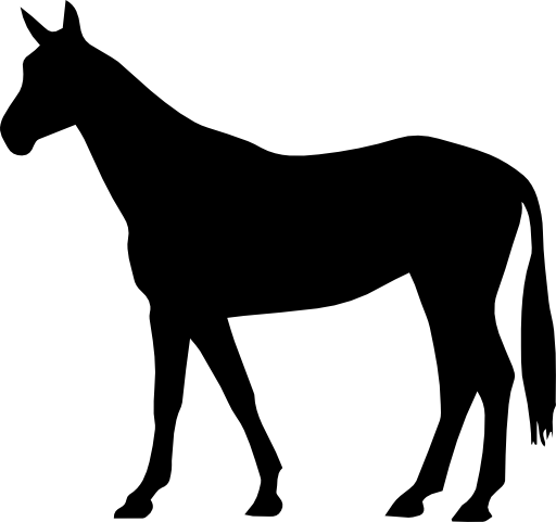 Horse thin black standing shape of long tail facing left