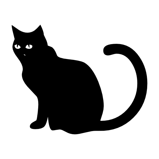 Cat black