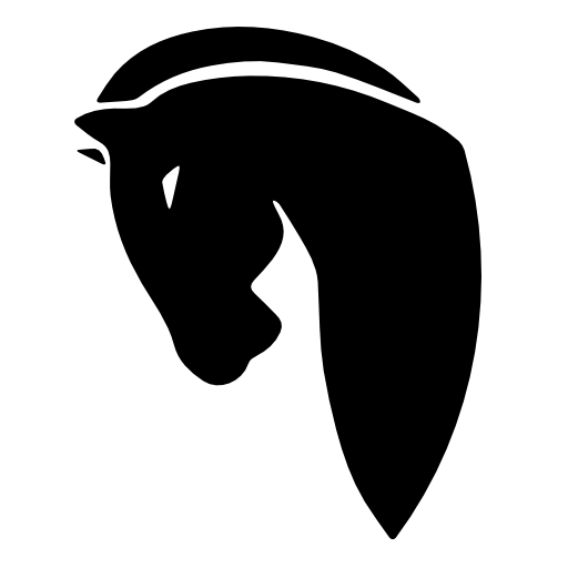 Horse black head