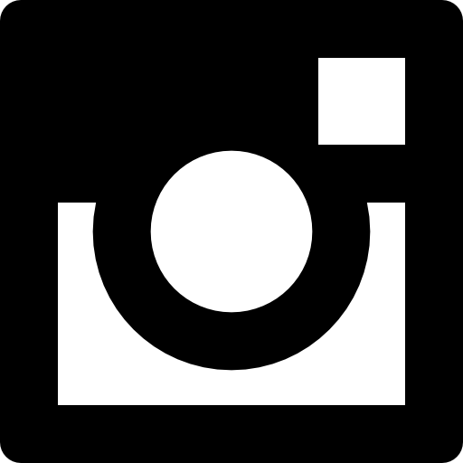 Social instagram Logo