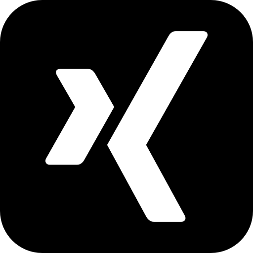 Xing icomoon website logo