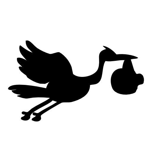 Flying stork baby