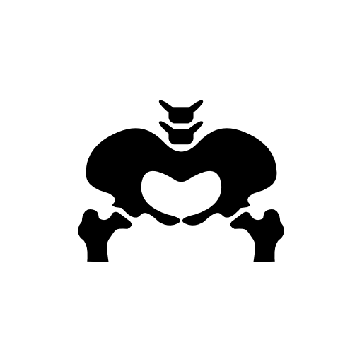 Pelvic bone silhouette