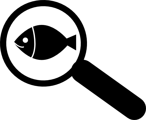 Fish through with magnifying glass