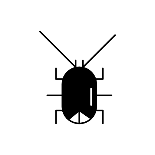 Cockroach animal