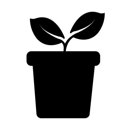 Plant with two leaves on a pot side view