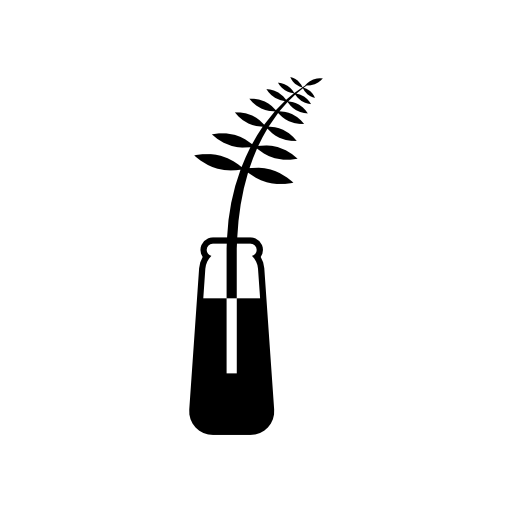 Fern plant on vase