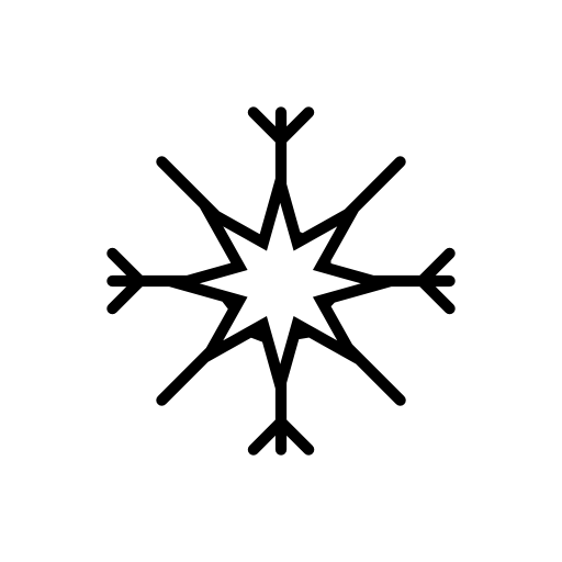 Snowflake with eight point star as center