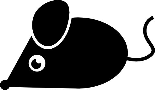 Mouse black animal