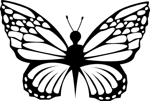 Delicacy of butterfly shapes