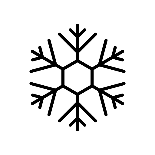 Snowflake design with thin lines on hexagonal shape