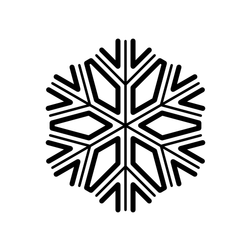 Snowflake of beautiful and complex design