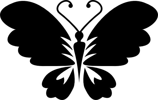 Black butterfly top view with opened wings