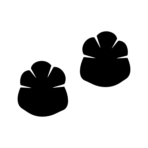 Animal footprints shape