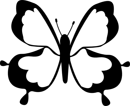 Butterfly top view design