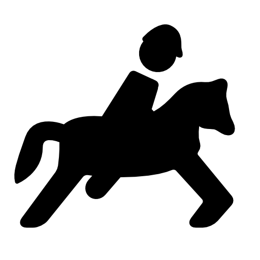 Equestrian race