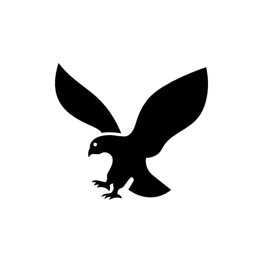 Eagle silhouette in flight