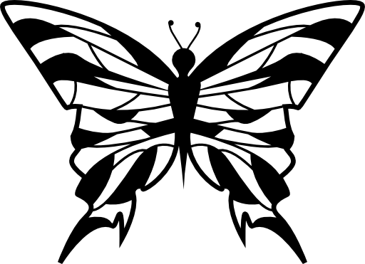 Butterfly design from top view