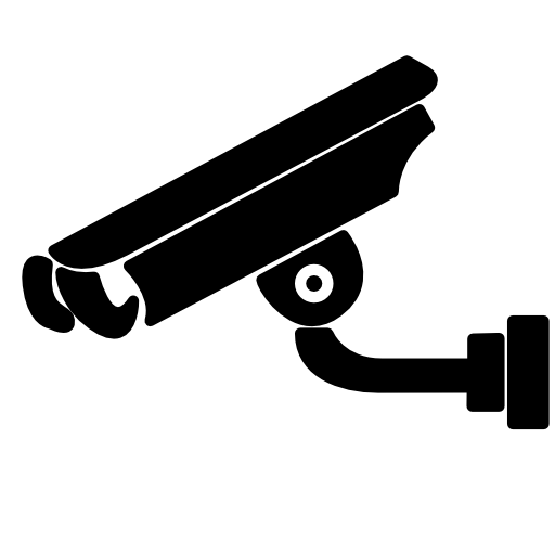 Surveillance video camera